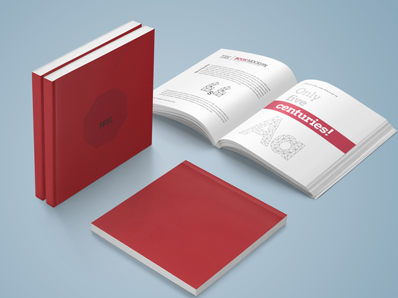 如(rú)何做(zuò)好(hǎo)自(zì)己公司的(de)宣傳冊設計(jì)