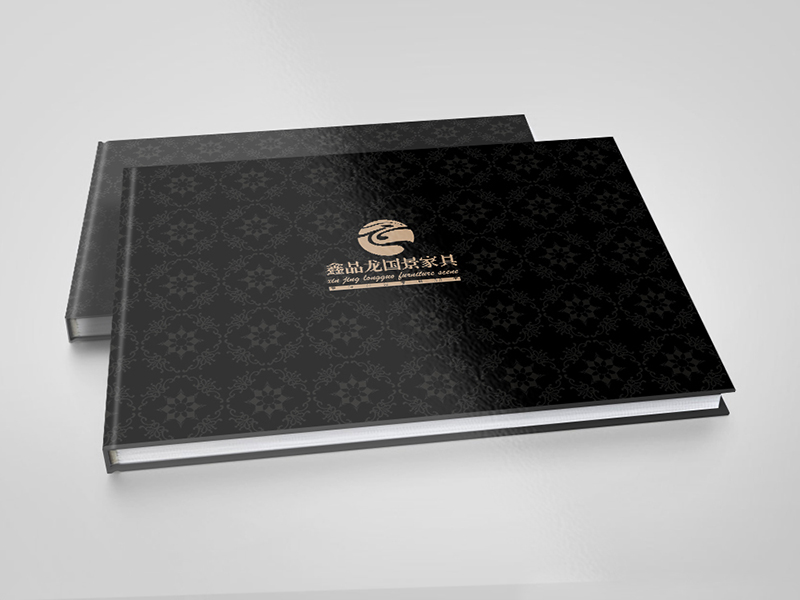 鑫金(jīn)龍畫(huà)冊設計(jì)