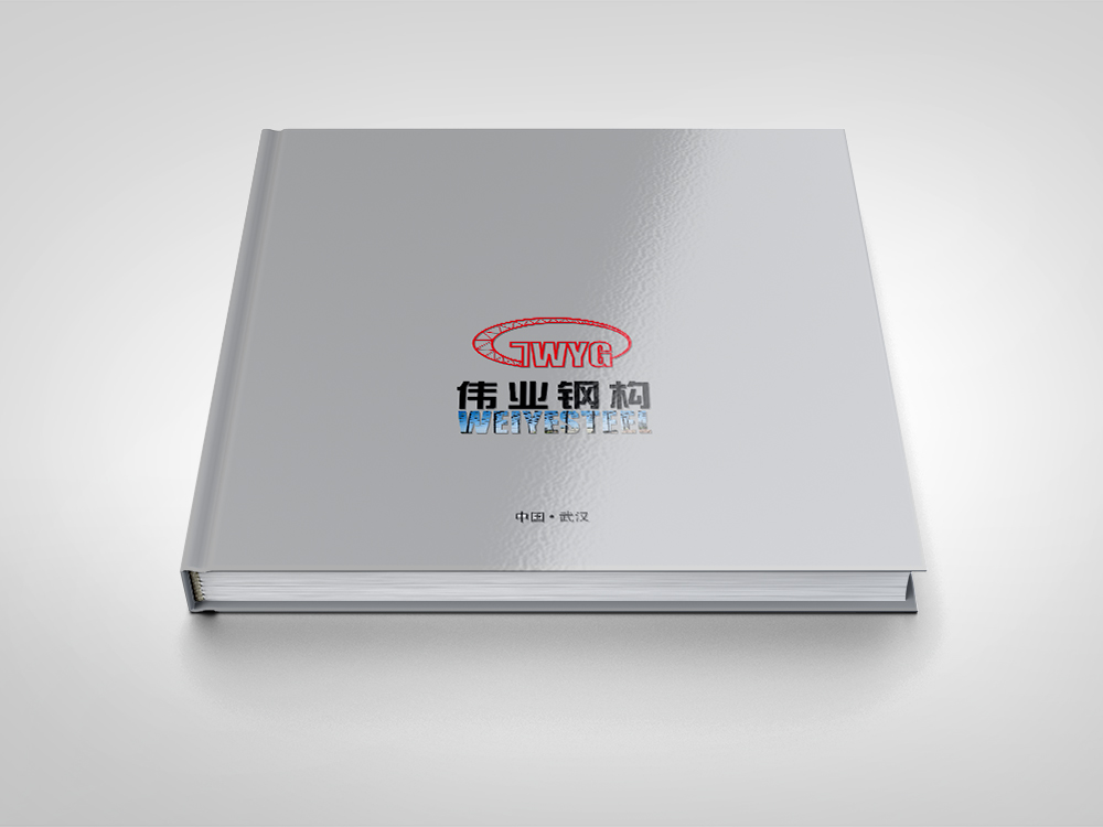 偉業(yè)鋼構畫(huà)冊設計(jì)