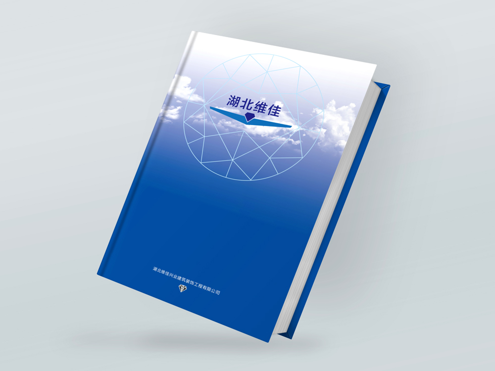 維佳興業(yè)畫(huà)冊設計(jì)