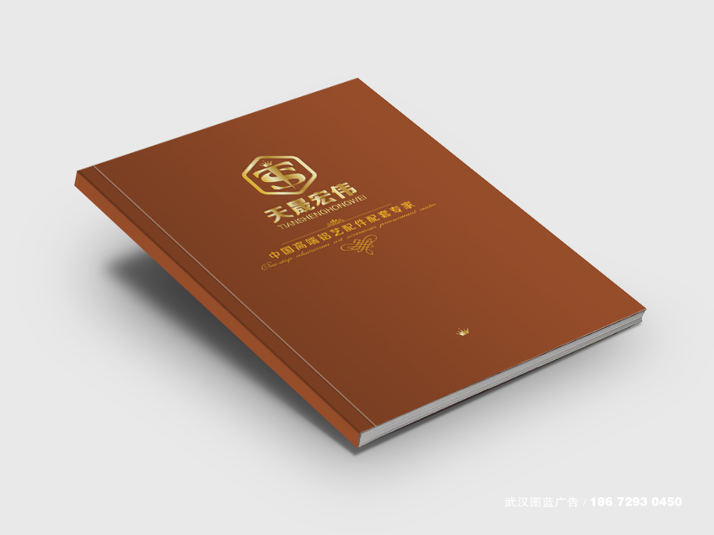 武漢天晟宏偉科(kē)技(jì)畫(huà)冊