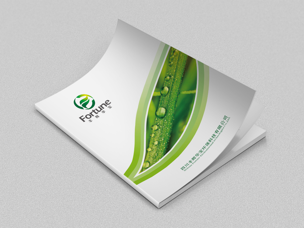 豐輝華寶畫(huà)冊設計(jì)