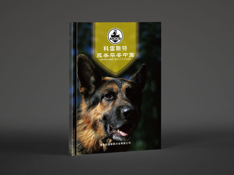 科(kē)雷斯特畫(huà)冊設計(jì)