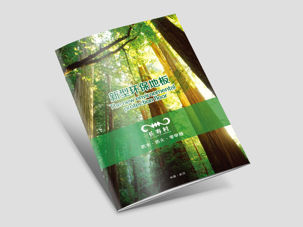 長(cháng)壽村(cūn)地(dì)闆畫(huà)冊設計(jì)